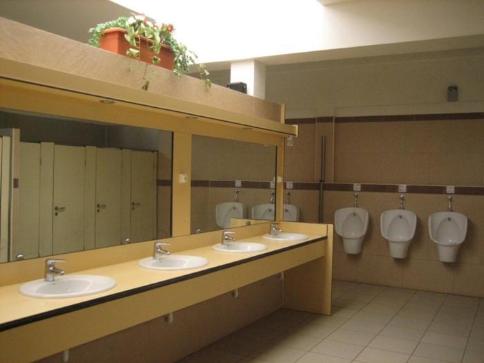 Camping Albergue Tau Hotel San José Kültér fotó
